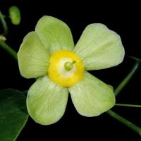 Image 17