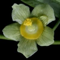 Image 23