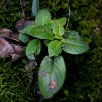 Image 14