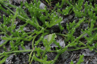 Image 22