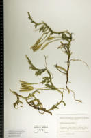 Image 24