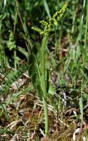 Image 14