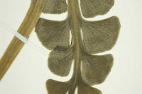 Image 22