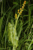 Image 23