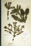 Image 22