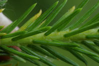 Image 23
