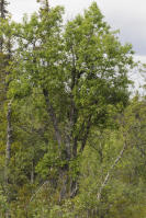 Image 23
