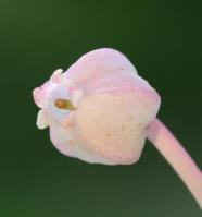 Image 16