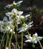 Image 14