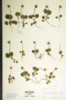 Image 18