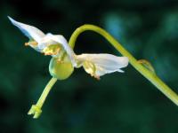 Image 23