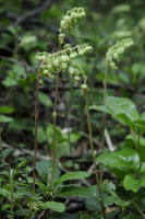 Image 16