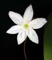 Image 14