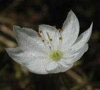 Image 16