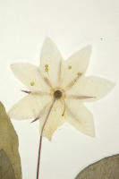 Image 17