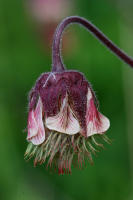 Image 14