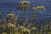 Image 14