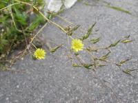 Image 14