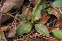 Image 14
