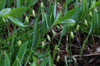 Image 18