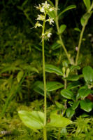 Image 17
