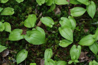 Image 14