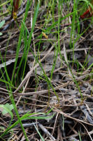 Image 14