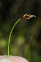 Image 24
