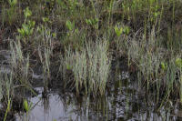 Image 14