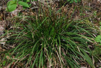 Image 23