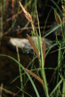 Image 23