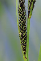 Image 24