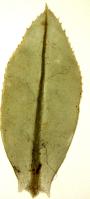 Image 24