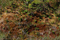 Image 14