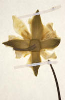 Image 14