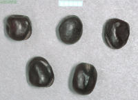 Image 23