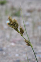 Image 14