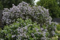 Image 22