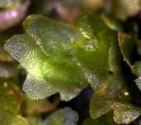 Image 14