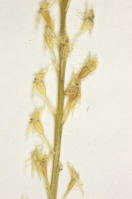 Image 14