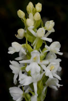 Image 23