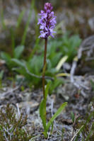 Image 14