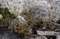 Image 14