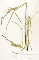 Image 23