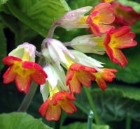 Image 22