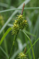 Image 14