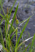 Image 16