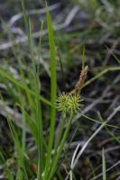 Image 17
