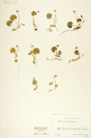 Image 24