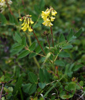Image 14